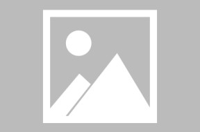 中欧体育-Scout回归赛场，回归赛场首场状态亮眼，篮网观众沸腾！的简单介绍
